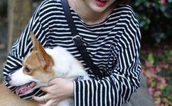 ワンピースのエロ官网